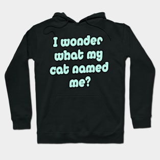 What my cat named me? Hoodie